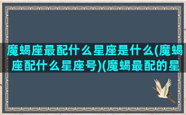 魔蝎座最配什么星座是什么(魔蝎座配什么星座号)(魔蝎最配的星座)