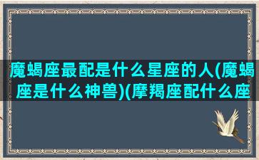 魔蝎座最配是什么星座的人(魔蝎座是什么神兽)(摩羯座配什么座最合适)