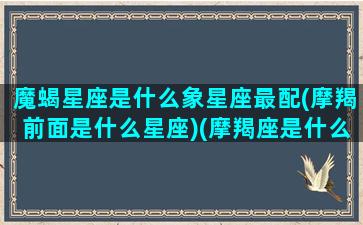 魔蝎星座是什么象星座最配(摩羯前面是什么星座)(摩羯座是什么星相)