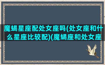 魔蝎星座配处女座吗(处女座和什么星座比较配)(魔蝎座和处女座相配吗)