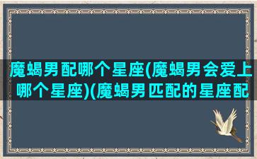 魔蝎男配哪个星座(魔蝎男会爱上哪个星座)(魔蝎男匹配的星座配对)