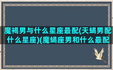 魔褐男与什么星座最配(天蝎男配什么星座)(魔蝎座男和什么最配)