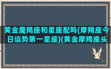 黄金魔羯座和星座配吗(摩羯座今日运势第一星座)(黄金摩羯座头像)