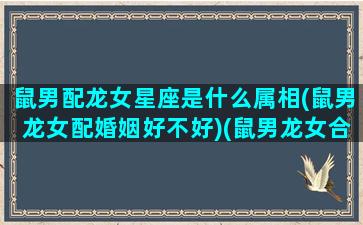 鼠男配龙女星座是什么属相(鼠男龙女配婚姻好不好)(鼠男龙女合适婚配吗)