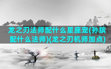 龙之刃法师配什么星座宠(孙膑配什么法师)(龙之刃机师加点)