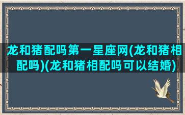 龙和猪配吗第一星座网(龙和猪相配吗)(龙和猪相配吗可以结婚)